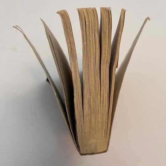 A Great and Terrible Beauty (The Gemma Doyle Trilogy) Book by Libba Bray - Picture 4 of 7